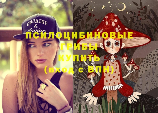 МДПВ Сатка