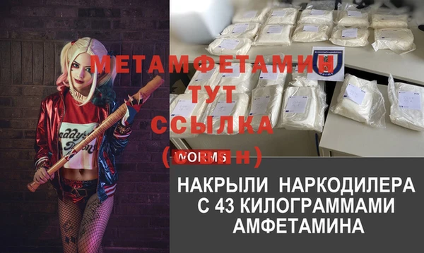 ГАЛЛЮЦИНОГЕННЫЕ ГРИБЫ Слюдянка