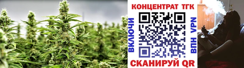 ТГК концентрат купить сайты Перевоз